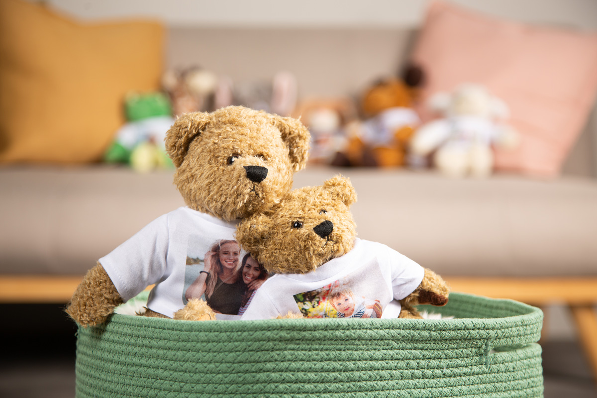 Teddybär mit T-Shirt Print